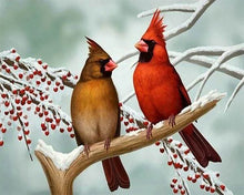 Laden Sie das Bild in den Galerie-Viewer, Diamond Painting, Kleiner tropischer Vogel