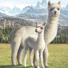Laden Sie das Bild in den Galerie-Viewer, Diamond Painting, Lama
