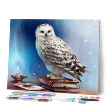 Laden Sie das Bild in den Galerie-Viewer, Diamond Painting | Diamond Painting - Owl and Book | animals Diamond Painting Animals owls | FiguredArt