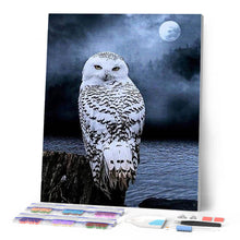 Laden Sie das Bild in den Galerie-Viewer, Diamond Painting | Diamond Painting - White Owl | animals Diamond Painting Animals owls | FiguredArt
