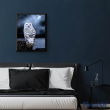 Laden Sie das Bild in den Galerie-Viewer, Diamond Painting | Diamond Painting - White Owl | animals Diamond Painting Animals owls | FiguredArt