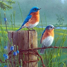 Laden Sie das Bild in den Galerie-Viewer, Diamond Painting, Kleine Vögel