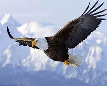 Laden Sie das Bild in den Galerie-Viewer, Diamond Painting, Adler im Flug