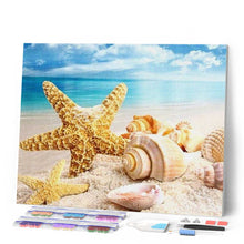 Laden Sie das Bild in den Galerie-Viewer, Diamond Painting | Diamond Painting - Seashells and Sea Star | animals Diamond Painting Animals | FiguredArt