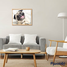 Laden Sie das Bild in den Galerie-Viewer, Diamond Painting | Diamond Painting - Sharpey asleep | animals Diamond Painting Animals | FiguredArt