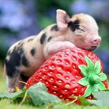 Laden Sie das Bild in den Galerie-Viewer, Diamond Painting, Baby Schwein und Erdbeere