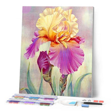 Laden Sie das Bild in den Galerie-Viewer, Diamond Painting | Diamond Painting - Iris bicolor | Diamond Painting Flowers flowers | FiguredArt