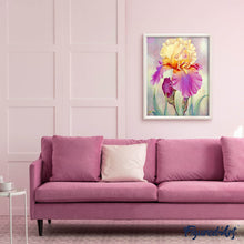 Laden Sie das Bild in den Galerie-Viewer, Diamond Painting | Diamond Painting - Iris bicolor | Diamond Painting Flowers flowers | FiguredArt