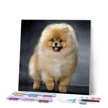 Laden Sie das Bild in den Galerie-Viewer, Diamond Painting | Diamond Painting - Chow Chow | animals Diamond Painting Animals | FiguredArt