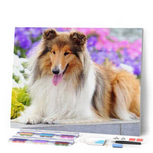 Laden Sie das Bild in den Galerie-Viewer, Diamond Painting | Diamond Painting - Collie | animals Diamond Painting Animals | FiguredArt