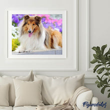 Laden Sie das Bild in den Galerie-Viewer, Diamond Painting | Diamond Painting - Collie | animals Diamond Painting Animals | FiguredArt