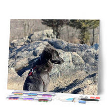 Laden Sie das Bild in den Galerie-Viewer, Diamond Painting | Diamond Painting - Rock and Dog | animals Diamond Painting Animals dogs | FiguredArt