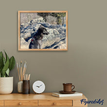 Laden Sie das Bild in den Galerie-Viewer, Diamond Painting | Diamond Painting - Rock and Dog | animals Diamond Painting Animals dogs | FiguredArt