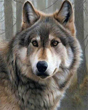 Laden Sie das Bild in den Galerie-Viewer, Diamond Painting, Wolf Porträt
