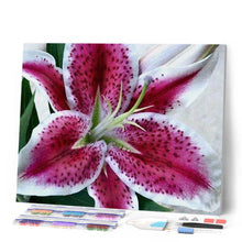 Laden Sie das Bild in den Galerie-Viewer, Diamond Painting – Roter Lilie