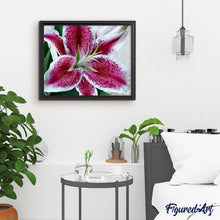 Laden Sie das Bild in den Galerie-Viewer, Diamond Painting – Roter Lilie