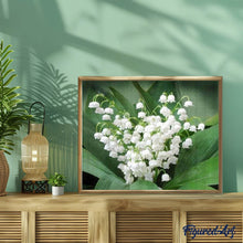 Laden Sie das Bild in den Galerie-Viewer, Diamond Painting | Diamond Painting - Lily of the Valley Flowers | Diamond Painting Flowers flowers | FiguredArt