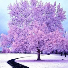 Laden Sie das Bild in den Galerie-Viewer, Diamond Painting, Rosaroter Baum im Schnee