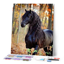 Laden Sie das Bild in den Galerie-Viewer, Diamond Painting | Diamond Painting - Black Mare | animals Diamond Painting Animals | FiguredArt