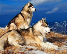 Laden Sie das Bild in den Galerie-Viewer, Diamond Painting, Huskies