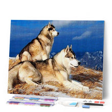 Laden Sie das Bild in den Galerie-Viewer, Diamond Painting | Diamond Painting - Huskies | animals Diamond Painting Animals | FiguredArt