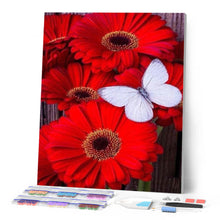 Laden Sie das Bild in den Galerie-Viewer, Diamond Painting | Diamond Painting - Red Daisies and White Butterfly | animals butterflies Diamond Painting Animals Diamond Painting