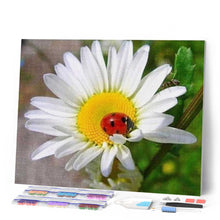 Laden Sie das Bild in den Galerie-Viewer, Diamond Painting | Diamond Painting - Ladybird and Marguerite | animals Diamond Painting Animals Diamond Painting Flowers flowers |