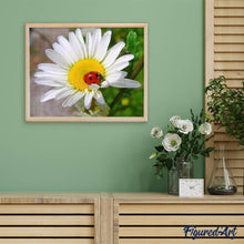 Laden Sie das Bild in den Galerie-Viewer, Diamond Painting | Diamond Painting - Ladybird and Marguerite | animals Diamond Painting Animals Diamond Painting Flowers flowers |