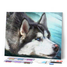 Laden Sie das Bild in den Galerie-Viewer, Diamond Painting | Diamond Painting - Husky with blue eyes | animals Diamond Painting Animals | FiguredArt