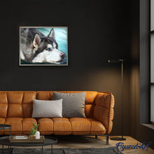 Laden Sie das Bild in den Galerie-Viewer, Diamond Painting | Diamond Painting - Husky with blue eyes | animals Diamond Painting Animals | FiguredArt