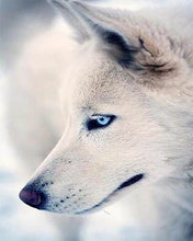 Laden Sie das Bild in den Galerie-Viewer, Diamond Painting, Weisser Husky