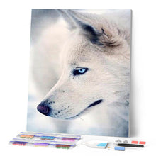 Laden Sie das Bild in den Galerie-Viewer, Diamond Painting | Diamond Painting - Husky Portrait | animals Diamond Painting Animals | FiguredArt
