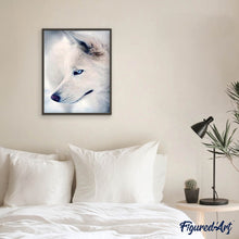 Laden Sie das Bild in den Galerie-Viewer, Diamond Painting | Diamond Painting - Husky Portrait | animals Diamond Painting Animals | FiguredArt