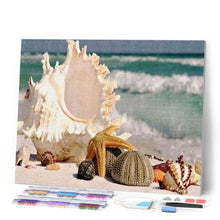 Laden Sie das Bild in den Galerie-Viewer, Diamond Painting | Diamond Painting - Shells along the Water | animals Diamond Painting Animals | FiguredArt