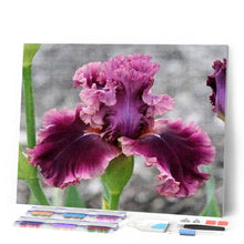 Laden Sie das Bild in den Galerie-Viewer, Diamond Painting | Diamond Painting - Iris Flower | Diamond Painting Flowers flowers | FiguredArt