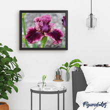 Laden Sie das Bild in den Galerie-Viewer, Diamond Painting | Diamond Painting - Iris Flower | Diamond Painting Flowers flowers | FiguredArt