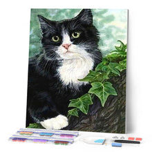 Laden Sie das Bild in den Galerie-Viewer, Diamond Painting | Diamond Painting - Black and white Cat | animals cats Diamond Painting Animals | FiguredArt