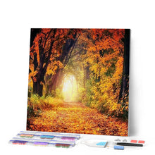 Laden Sie das Bild in den Galerie-Viewer, Diamond Painting | Diamond Painting - Walk in Forest | Diamond Painting Landscapes landscapes | FiguredArt