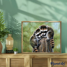 Laden Sie das Bild in den Galerie-Viewer, Diamond Painting | Diamond Painting - Perched Raccoon | animals Diamond Painting Animals raccoons | FiguredArt
