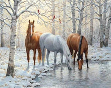 Laden Sie das Bild in den Galerie-Viewer, Diamond Painting, Drei Pferde im verschneiten Wald