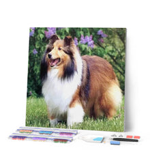Laden Sie das Bild in den Galerie-Viewer, Diamond Painting | Diamond Painting - Collie in the Garden | animals Diamond Painting Animals | FiguredArt