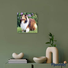Laden Sie das Bild in den Galerie-Viewer, Diamond Painting | Diamond Painting - Collie in the Garden | animals Diamond Painting Animals | FiguredArt