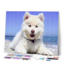 Laden Sie das Bild in den Galerie-Viewer, Diamond Painting | Diamond Painting - Dog on the Beach | animals Diamond Painting Animals dogs | FiguredArt