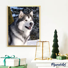 Laden Sie das Bild in den Galerie-Viewer, Diamond Painting | Diamond Painting - Husky in Winter | animals Diamond Painting Animals winter | FiguredArt