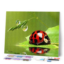 Laden Sie das Bild in den Galerie-Viewer, Diamond Painting | Diamond Painting - Beetle | animals Diamond Painting Animals | FiguredArt