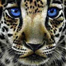 Laden Sie das Bild in den Galerie-Viewer, Diamond Painting, Leopard mit blauen Augen