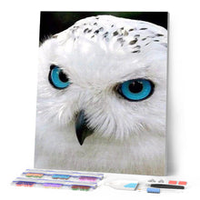 Laden Sie das Bild in den Galerie-Viewer, Diamond Painting | Diamond Painting - Owl with Blue Eyes | animals Diamond Painting Animals | FiguredArt