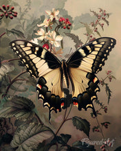 Laden Sie das Bild in den Galerie-Viewer, Diamond Painting - Schwalbenschwanz und weiße Blumen – 40 x 50 cm auf Keilrahmen gespannt