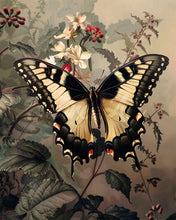 Laden Sie das Bild in den Galerie-Viewer, Diamond Painting - Schwalbenschwanz und weiße Blumen – 40 x 50 cm auf Keilrahmen gespannt