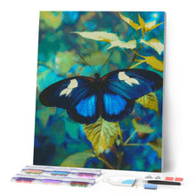 Laden Sie das Bild in den Galerie-Viewer, Diamond Painting - Heliconius Cydno Schmetterling